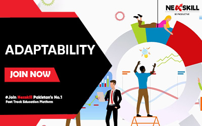 Mastering Adaptability: Nexskill's Expert Training in Soft Skills