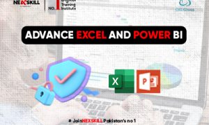 Advance Excel & Power BI