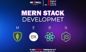 Mern Stack Development